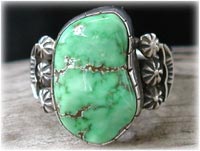 Lime Green Carico Lake Turquoise Jewelry