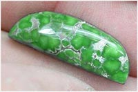 Deep Lime Green Turquoise