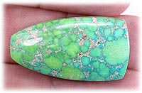 Carico Lake Lime Green Turquoise