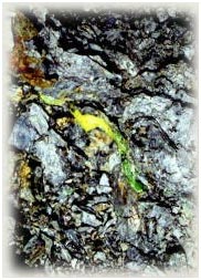 Orvil Jack Lime Turquoise Vein