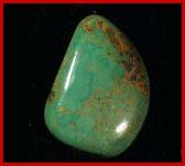 Royston Turquoise Blue Spider Web