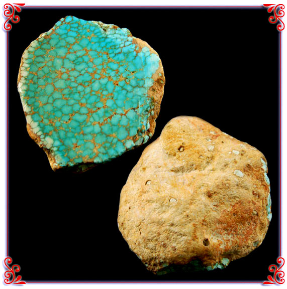 Number 8 Spiderweb Turquoise Fossil Clam