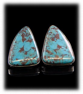 Bisbee Turquoise Stud Earrings