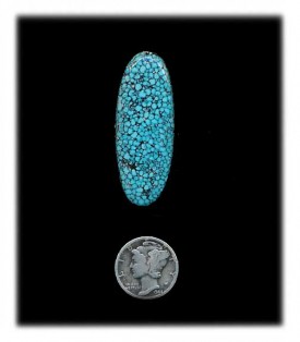 Kingman Black Web Turquoise Cabochon