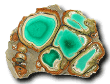 Clay Canyon or Little Green Monster Utah Variscite