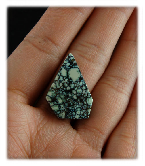 White Coloback Spiderweb Turquoise Cabochon