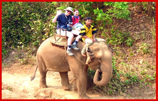 Hill Country Elephant Tours