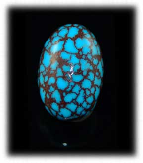 Rare Spiderweb Turquoise - Durango Silver Collection