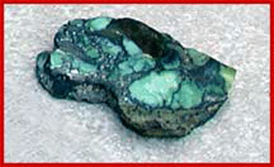 Tortoise Turquoise Mining