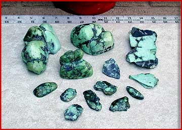 Grouping of Tortoise turquoise - slices, windowed nuggets, and a couple cabs