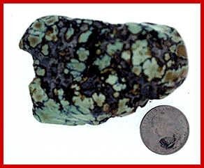 Look at this nugget of tortoise.. green turquoise and brown turquoise in the same rock!