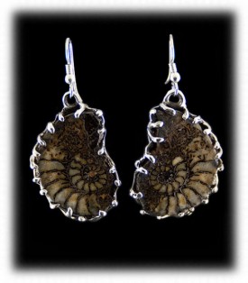 Sterling Silver Ammonite Earrings