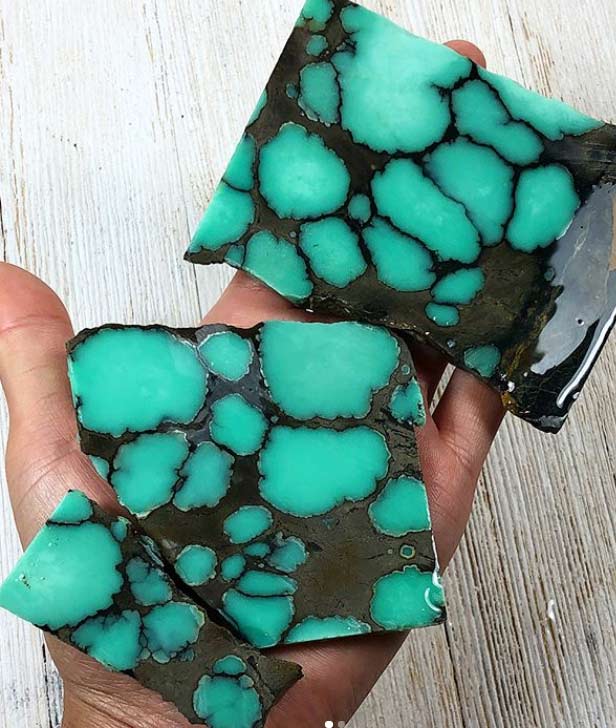 Desert Bloom Nevada Variscite slices