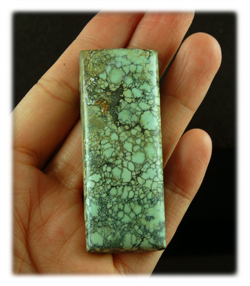 Tortoise Chalcosiderite Tortoise Chalcosiderite