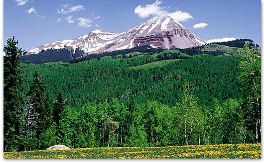 Southwestern scene to the north