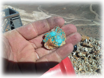 Pilot Mountain Turquoise