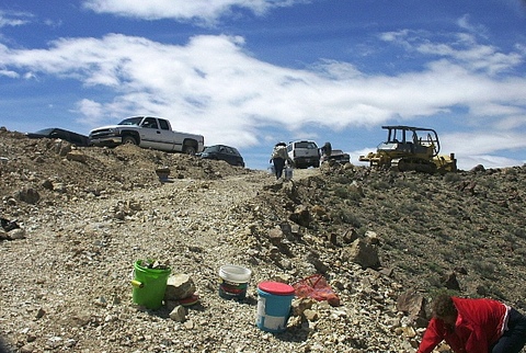 Royston Turquoise Video