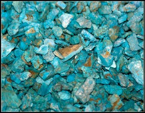 Turquoise Learning Center